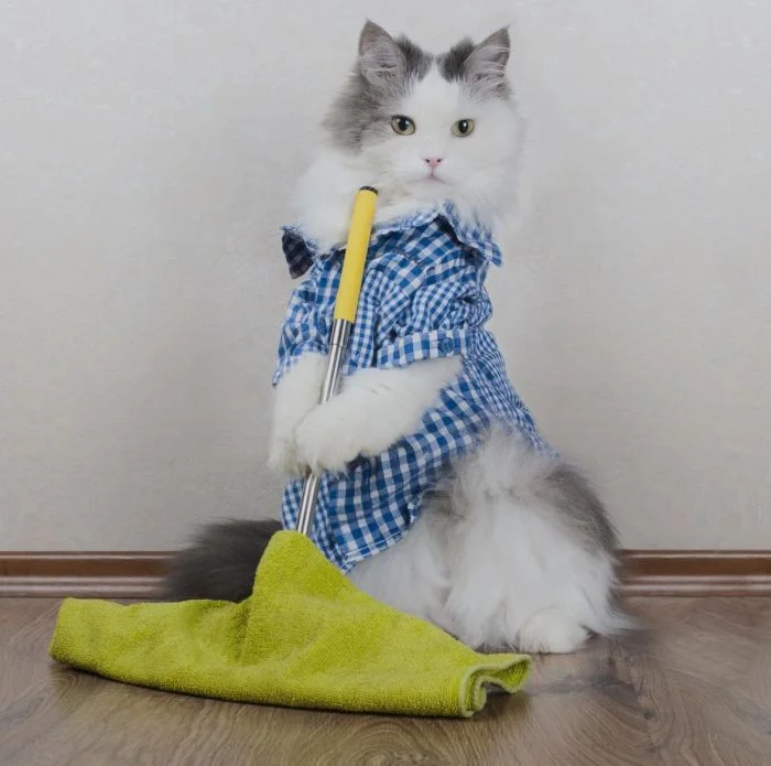 Пушистые уборщики