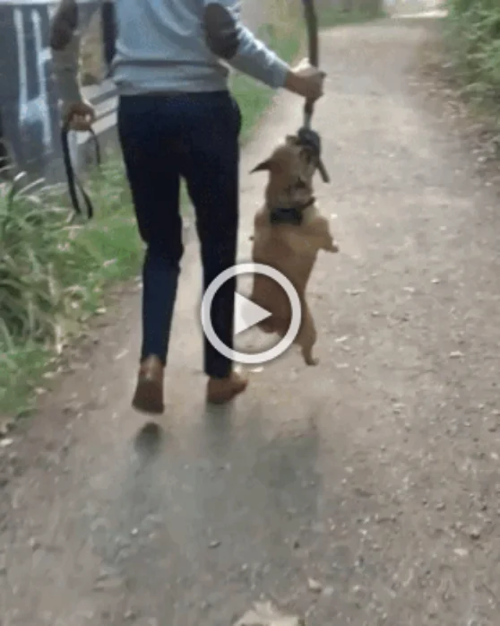 Просто гифки