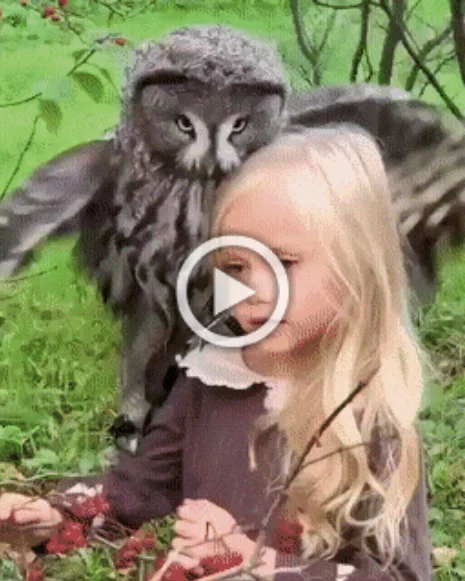 Просто гифки