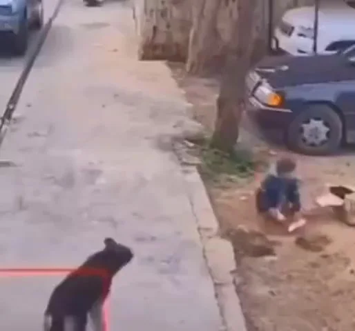 Доброта спасет мир