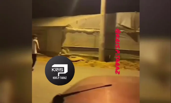 Радикальная борьба с ночными мопедистами