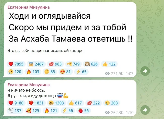 Екатерине Мизулиной угрожают расправой после разоблачения чеченского ютубера Асхаба Тамаева