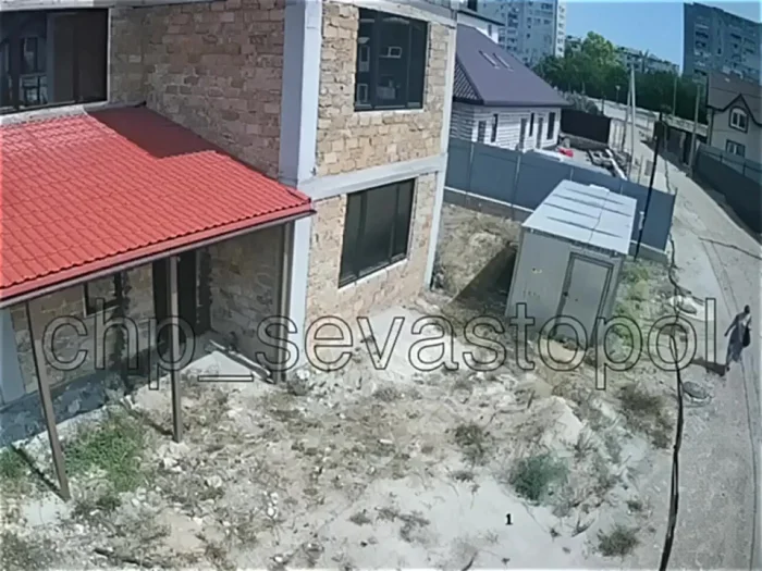 Две бойцовские псины чуть не разорвали женщину