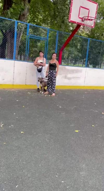 Почему даже в Москве важно иметь при себе баллончик, трость или что-то посерьезнее