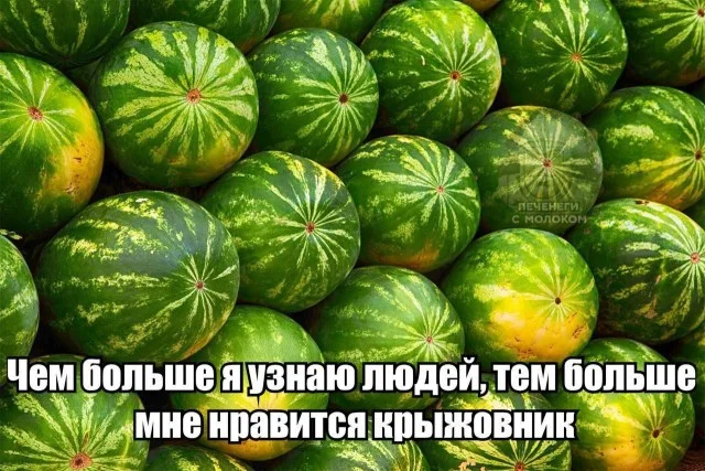 Никакие
