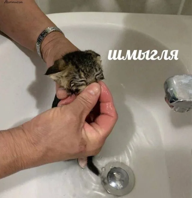 Юморески для взрослых