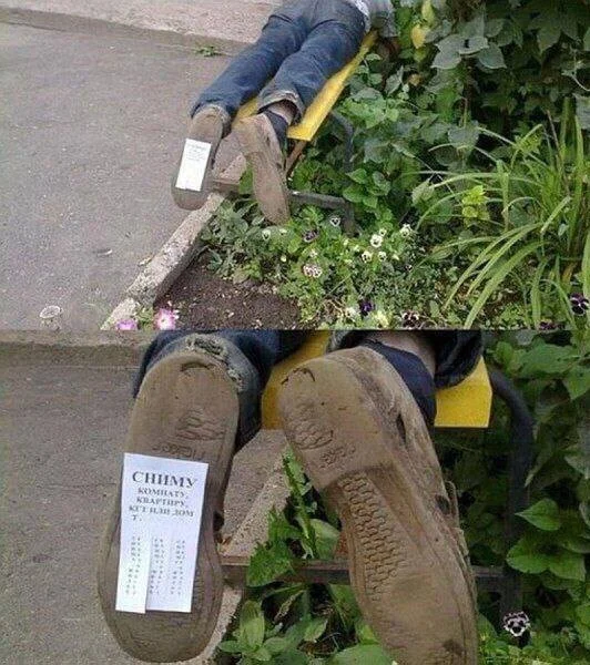 Юморески для взрослых