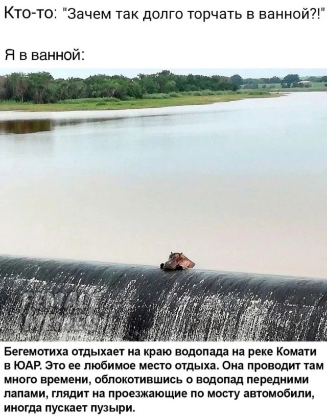 Вот так картинки