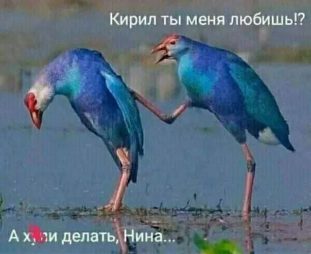 Так себе картинки