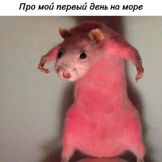 Так себе картинки