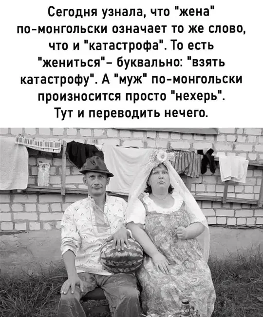 Подвезли картинки