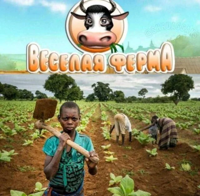 Юмор сугубо для взрослых