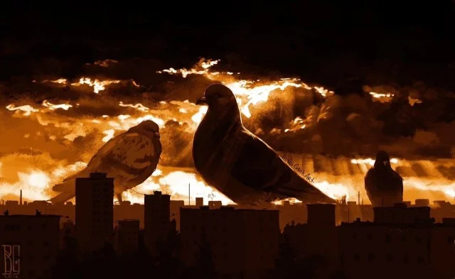 Вот так картинки