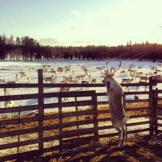 Вот так картинки