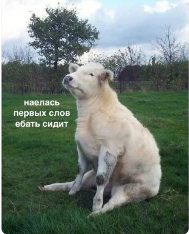 Взросло, круто, смешно!