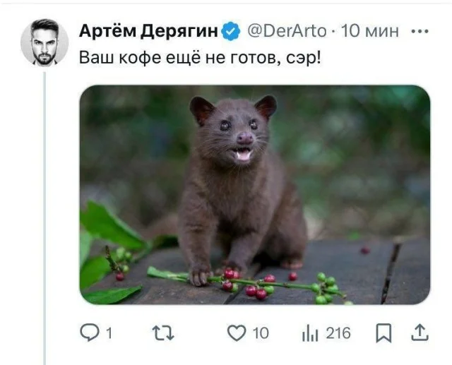 Веселые картинки