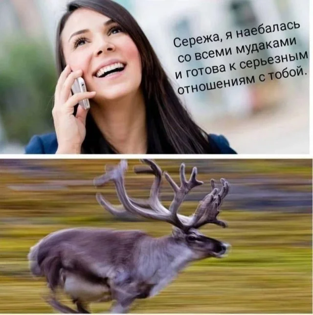 Смотреть только взрослым