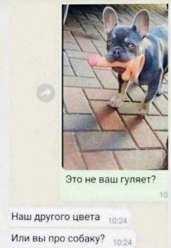 Нестандартный юмор #51