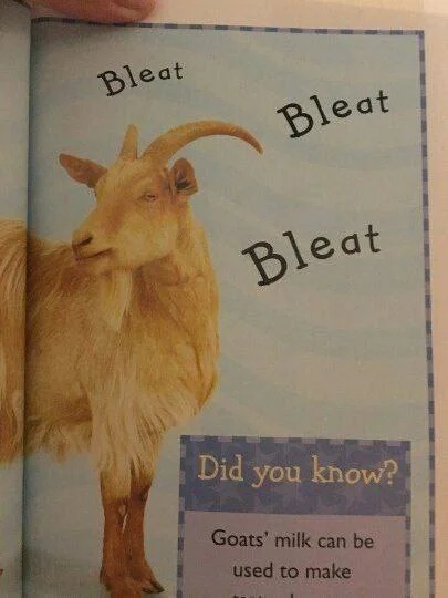 Нестандартный юмор #67