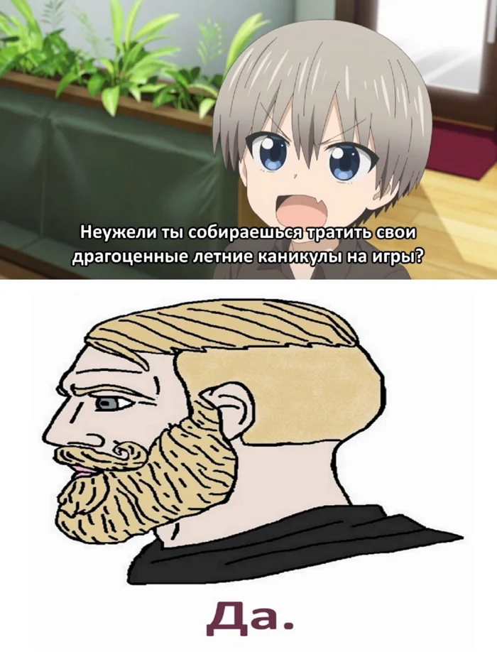 Нью анимешные мемы