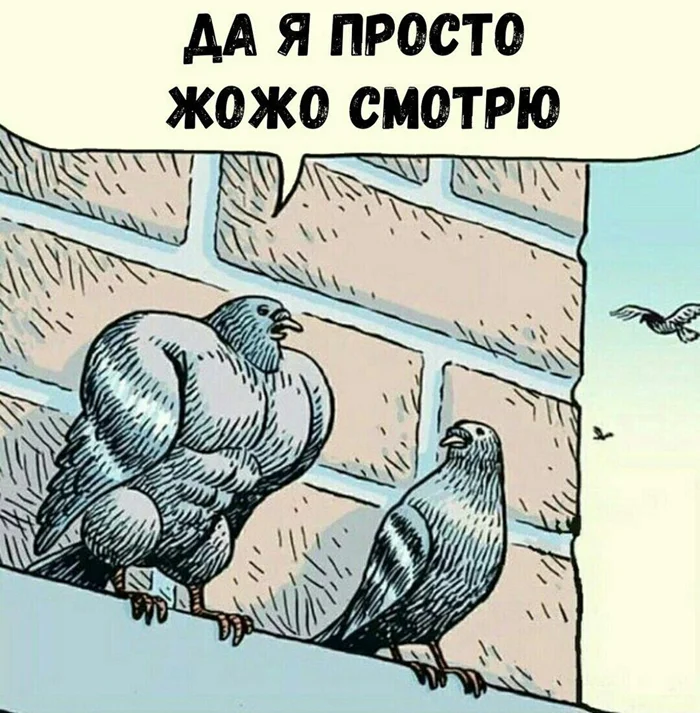 Анимешные мемы