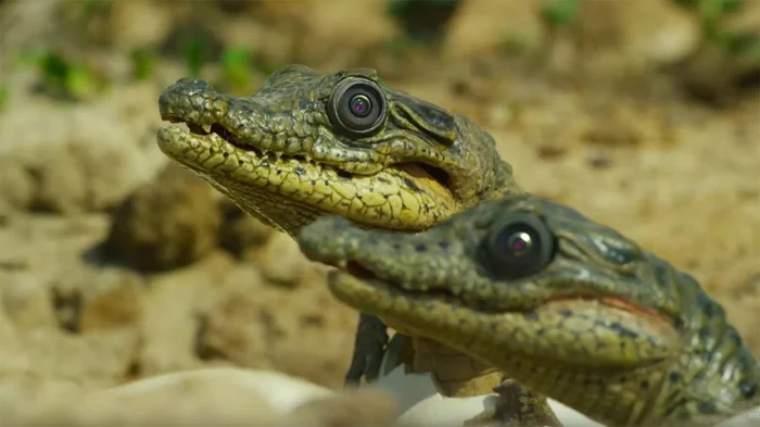 Революция в натурализме и документальном кино: как роботы-животные изменили всё