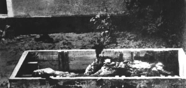 Какая судьба постигла прах фюрера?