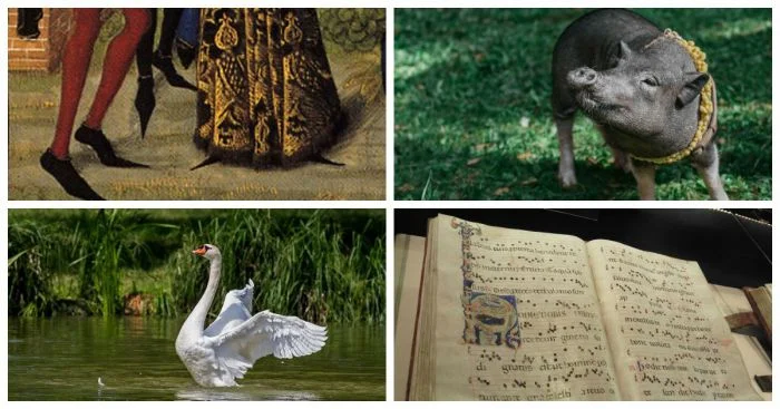 30 удивительных, страшных и любопытных фактов о Средневековье