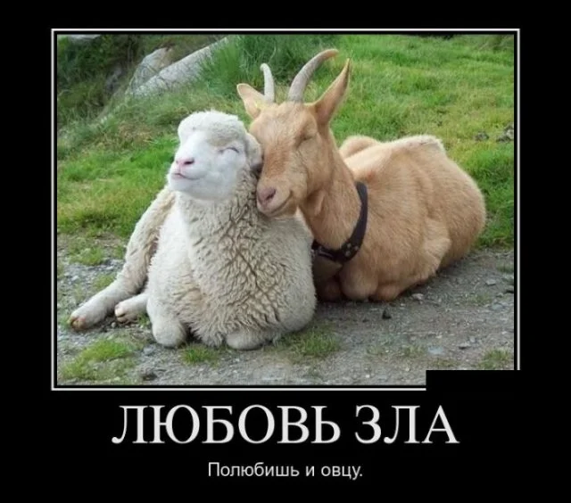 Демотиваторы