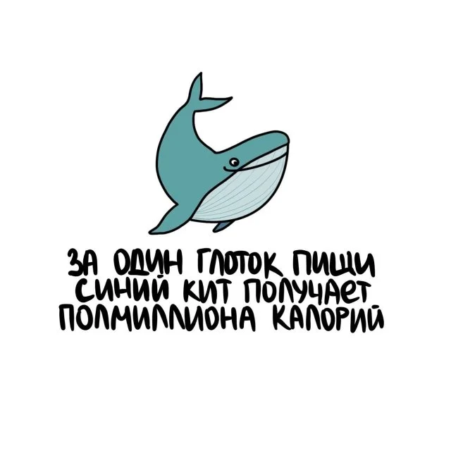 Удивительные факты на каждый день