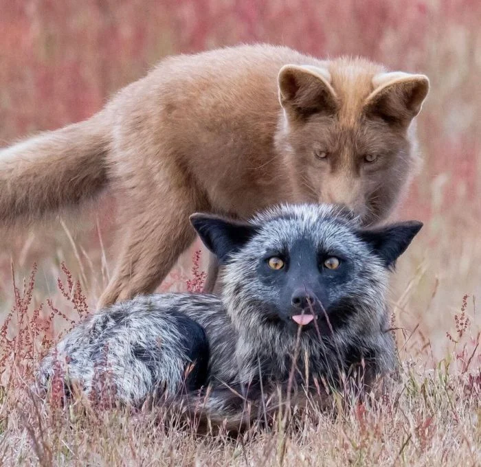 На общую тему