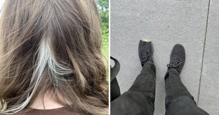 Истории редких ситуаций: 14 случаев, которые оставили людей в недоумении