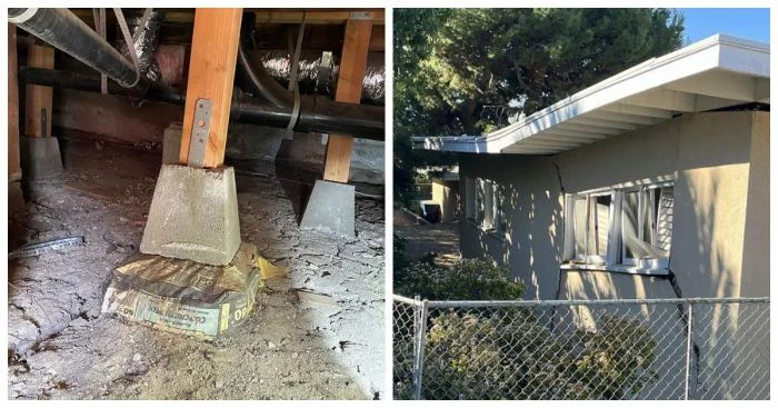 Открытия жилищного инспектора: 25 поразительных находок из будней