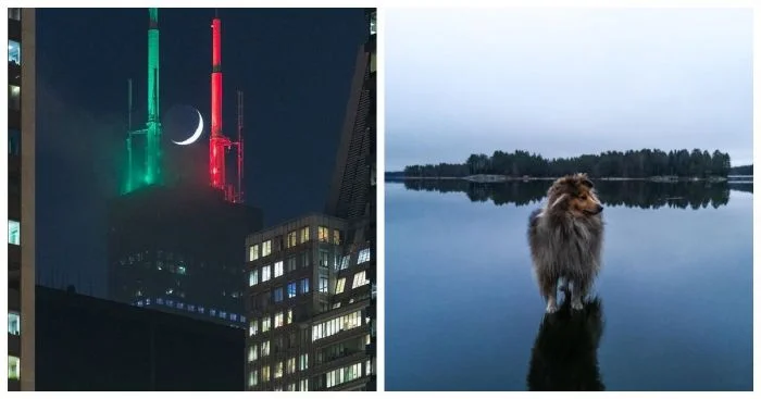 15 безупречных фотографий, поймавших уникальные моменты