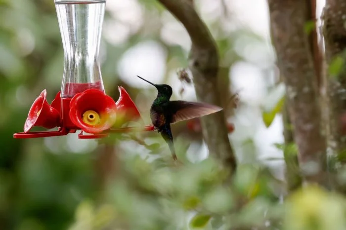 Намешалось