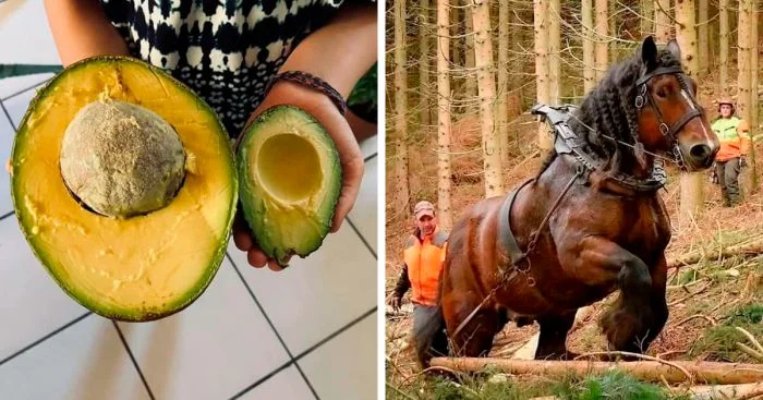 Почему хорошего должно быть много