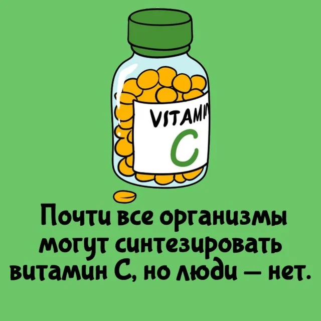 Любопытные факты на все случаи жизни