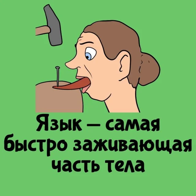 Любопытные факты на все случаи жизни