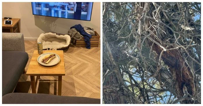 25 образцовых примеров идеальной маскировки