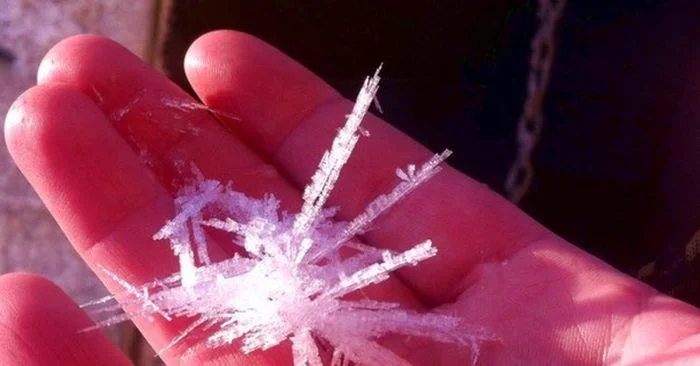 Когда маленькое становится огромным: 12 поразительных исключений