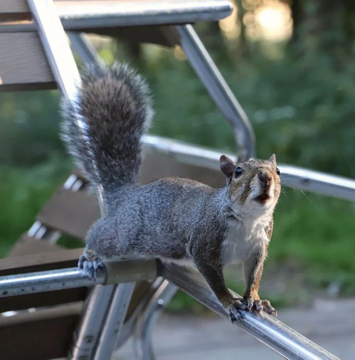 На общую тему