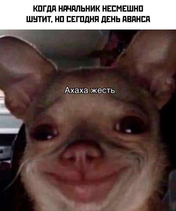 Скриншотики из соцсетей