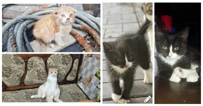 21 счастливчик, встретивший на пути ангелов