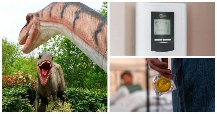 20 весёлых историй о том, как люди узнали, что их половинки не так уж умны