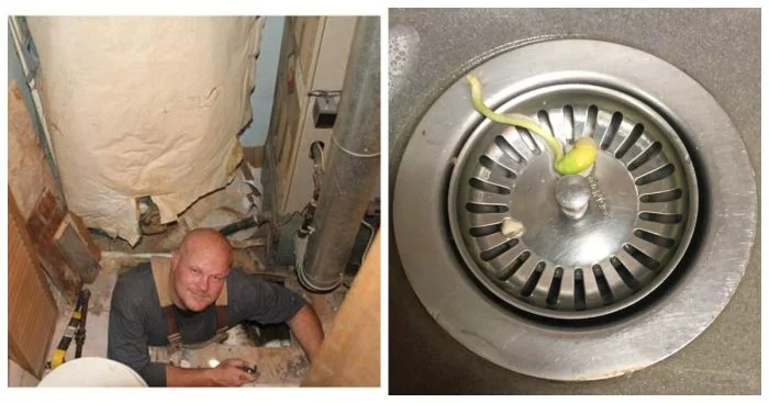 16 удивительных вещей, найденных в собственном доме