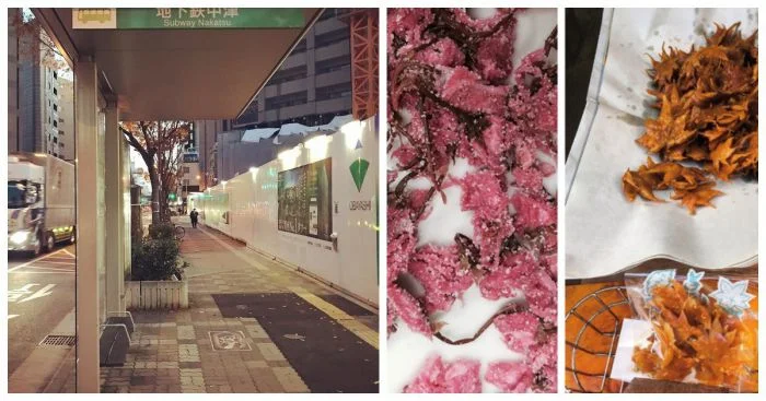 Японские изобретения, которые могли бы улучшить мир