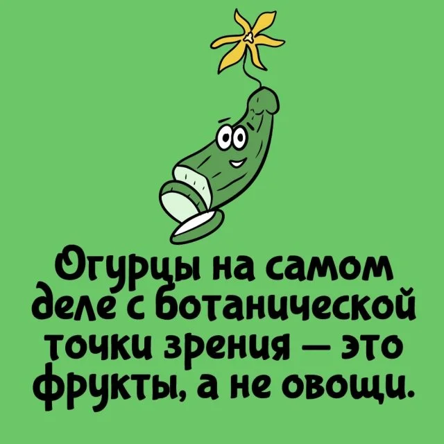 Удивительные факты для всех случаев жизни