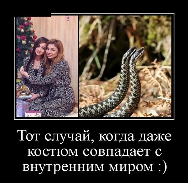 Свежие демотиваторы