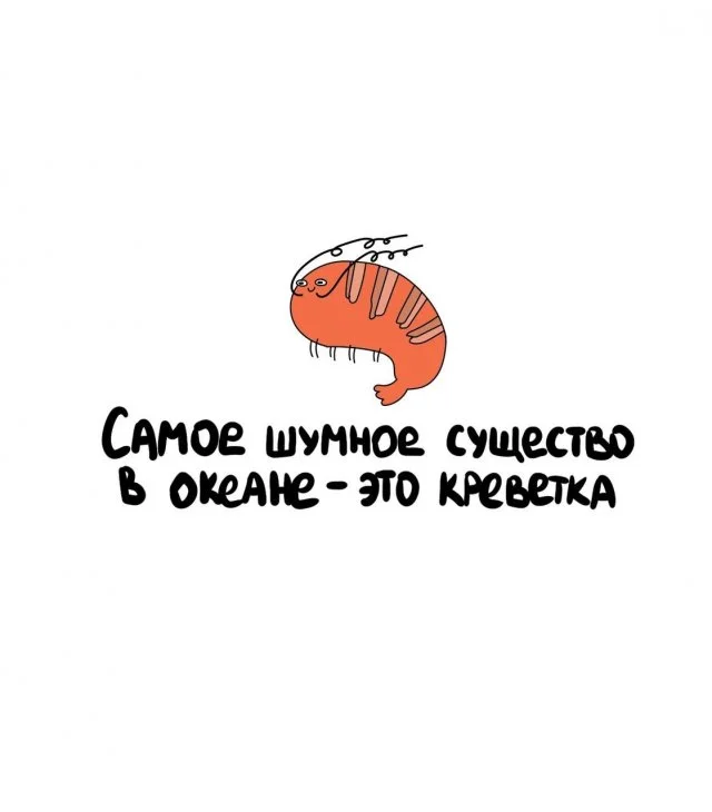 Занимательные факты для любого случая