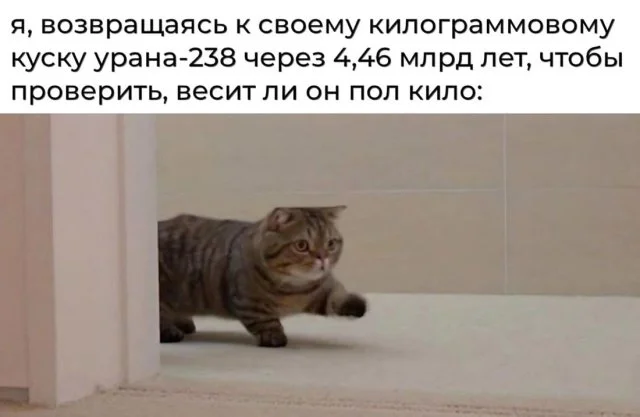 Юмор для знатоков науки: шутки и мемы из мира физики и математики